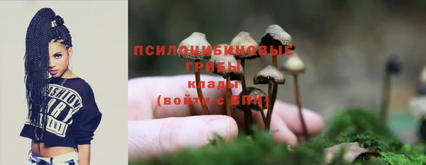 спиды Семилуки