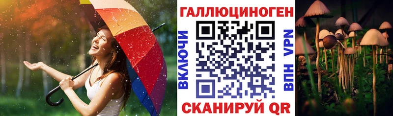 МЕГА tor  Наро-Фоминск  Псилоцибиновые грибы Psilocybe 
